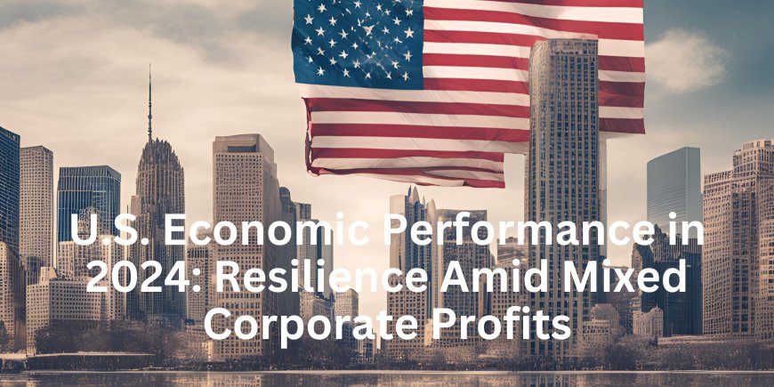 U.S. Economic Performance in 2024: Resilience Amid Mixed Corporate Profits