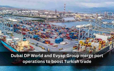 Dubai DP World and Evyap Group merge port operations to boost Turkish trade