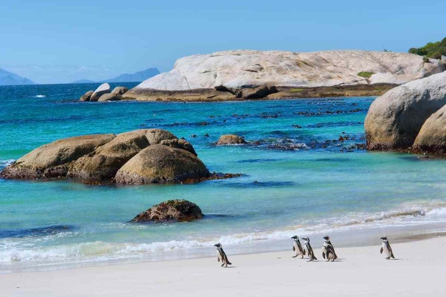 25. Boulders Beach, South Africa