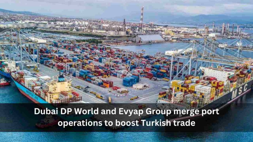 Dubai DP World and Evyap Group merge port operations to boost Turkish trade