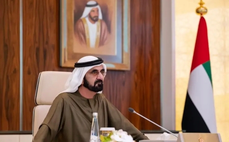 UAE sets out 2025 plan to promote family unit, Emirati identity and AI