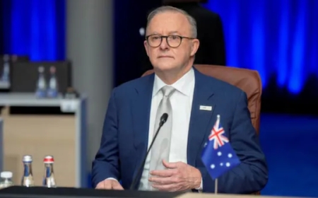 Anthony Albanese AUD 14.7 million Net Worth, All about his Assets and Earnings