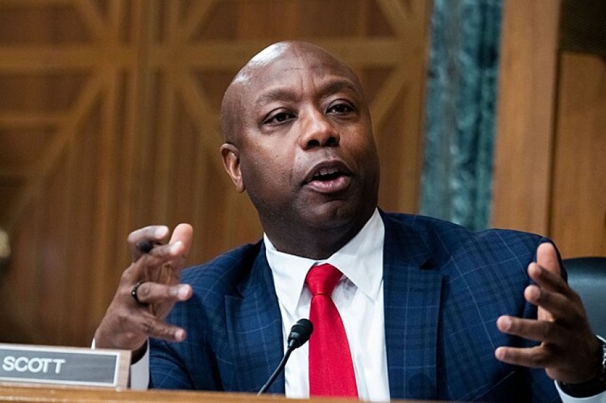 Tim Scott Net Worth 2025, What is US Senator Family Wealth ?