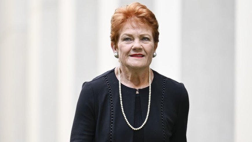 Pauline Hanson Net Worth, Salary and Family Background